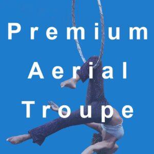 Premium Troupe Listing